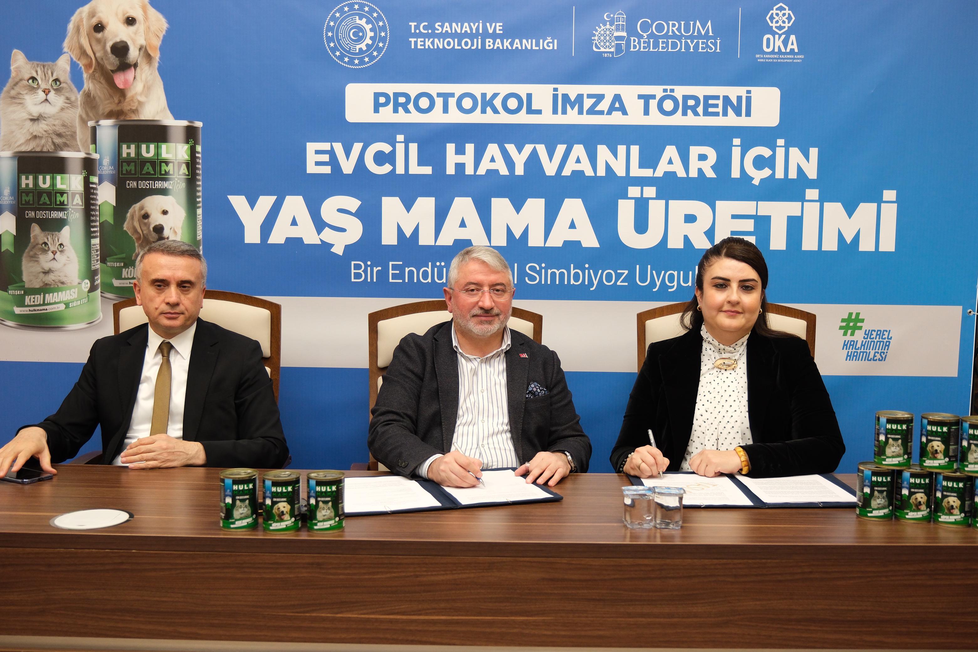 ÇORUM'A MİLYONLUK KÖPEK VE KEDİ MAMASI TESİSİ